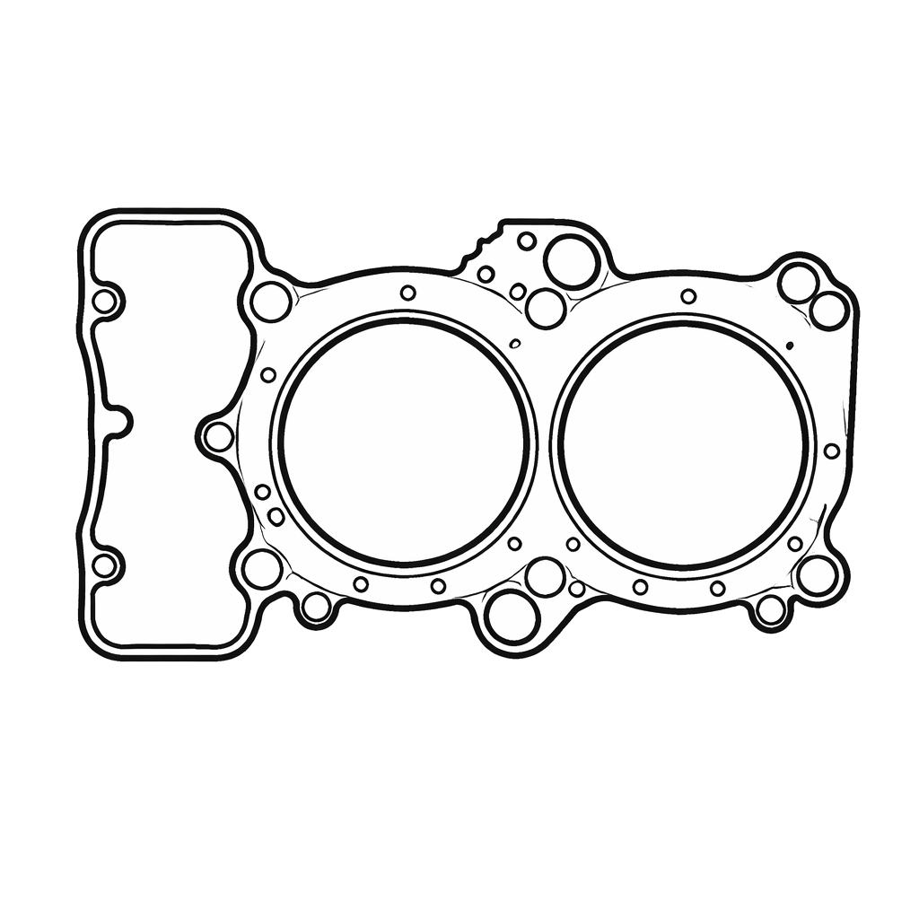 Junta culata cilindro - Delantero